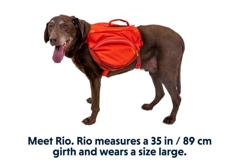 Шлейка-рюкзак для собаки Ruffwear Palisades&trade; S Красный 30985 фото
