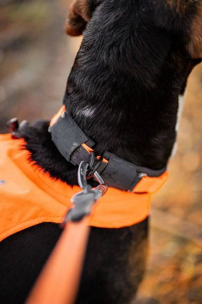 Ошейник для собак Protector Non-stop dogwear Оранжевый 36 40359 фото
