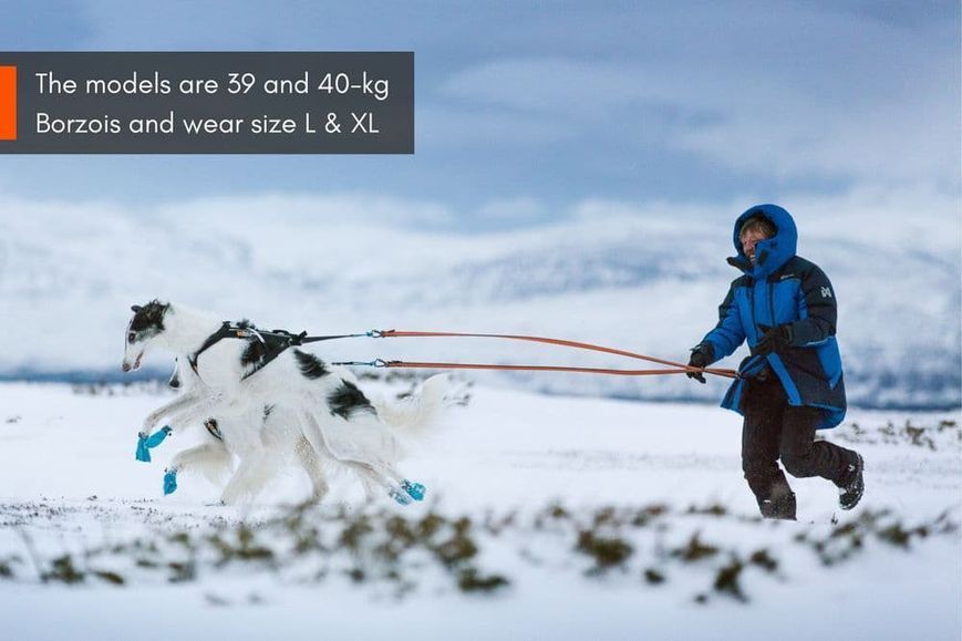 Черевики для собак Long distance bootie Non-stop dogwear Синій 3XS 4 Шт. 40309 фото