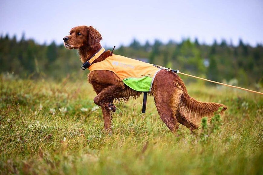 Повідець для собак Protector round long line Non-stop dogwear Помаранчевий 10 м 41433 фото