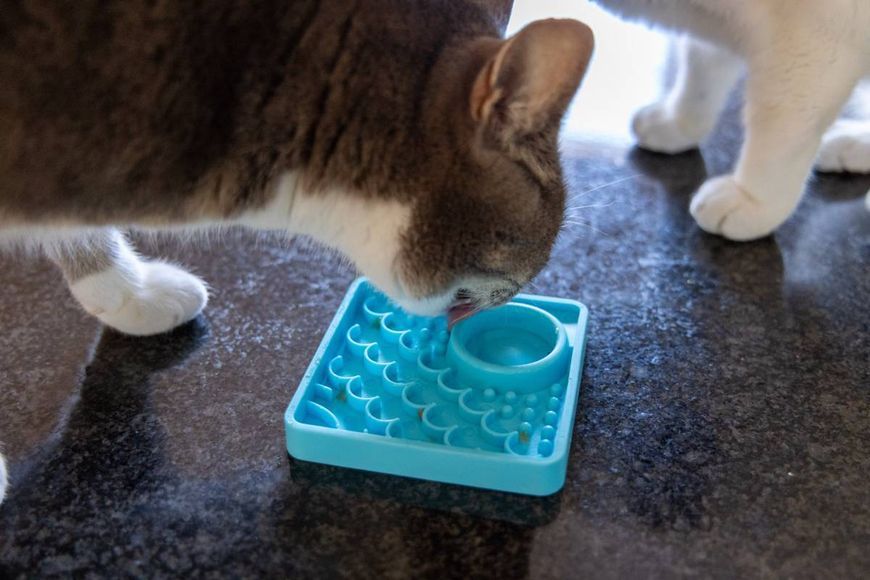 Лизальний килимок антистрес для кошенят LickiMat Kitty Turquoise 30361 фото