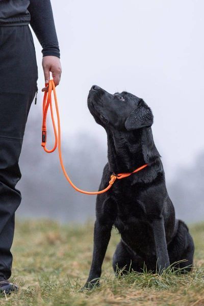 Повідець для собак Retriever leash Non-stop dogwear Помаранчевий 1,6 м/8 мм 41384 фото