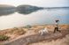Повседневная шлейка для собак Ruffwear Front Range&reg; XXS 33-43 см Серый 30771 фото 4