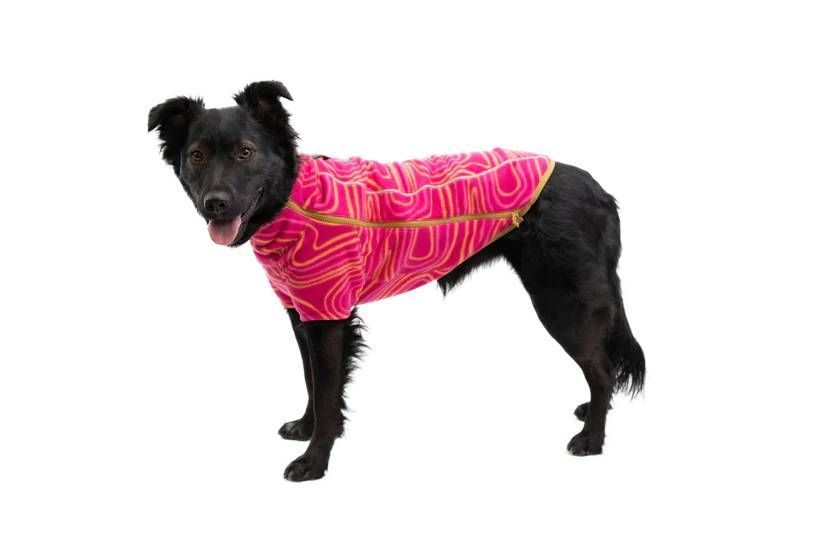 Флисовая куртка для собак Ruffwear Climate Changer&trade; L Малиновый 30381 фото