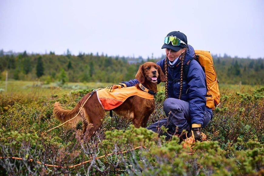 Повідець для собак Protector round long line Non-stop dogwear Помаранчевий 15 м 41434 фото