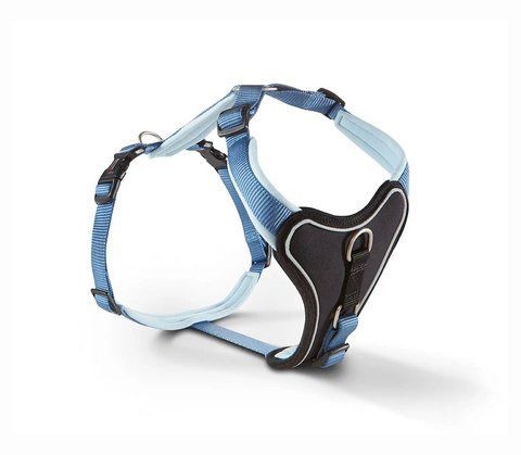 Шлейка для собак смягченная Wolters Professional Comfort -1 27-32 см / 15 мм Синий 45470 фото