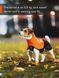 Дощовик для собак Fjord raincoat Non-stop dogwear Чорний/Помаранчевий 33 40938 фото 3