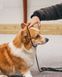 Повідець для собак Retriever leash Non-stop dogwear Чорний 1,6 м/6 мм 41385 фото 2