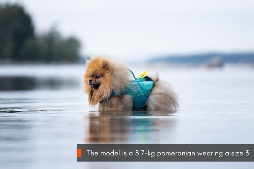 Рятувальний жилет для собак Protector life jacket Non-stop dogwear Бірюзовий 6 40511 фото