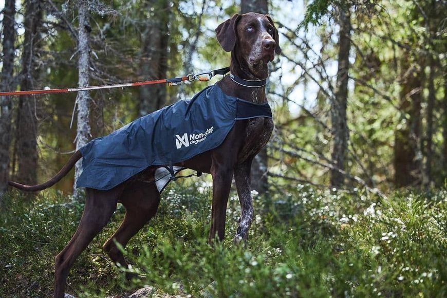 Куртка для собак Trail light Non-stop dogwear Серый 45 40888 фото
