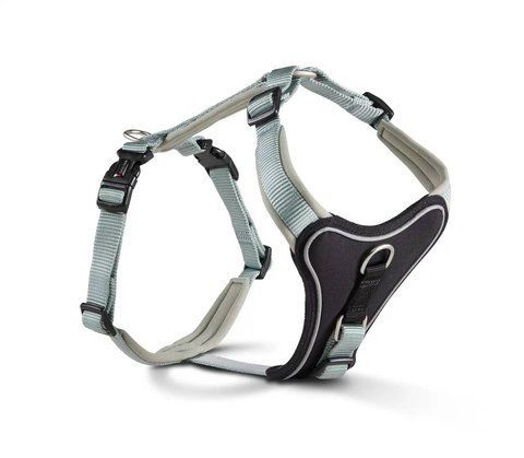 Шлейка для собак смягченная Wolters Professional Comfort -1 27-32 см / 15 мм Зеленый 45471 фото
