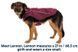Куртка для собак Ruffwear Overcoat Fuse&trade; S Фіолетовий 30439 фото 5