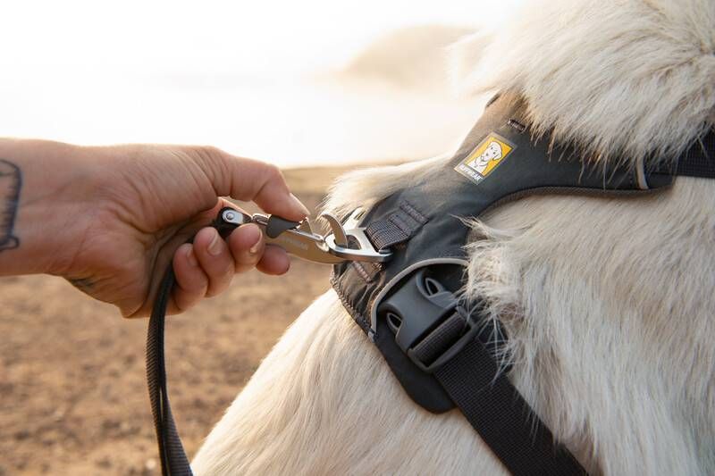 Повседневная шлейка для собак Ruffwear Front Range&reg; S 56-69 см Серый 30773 фото