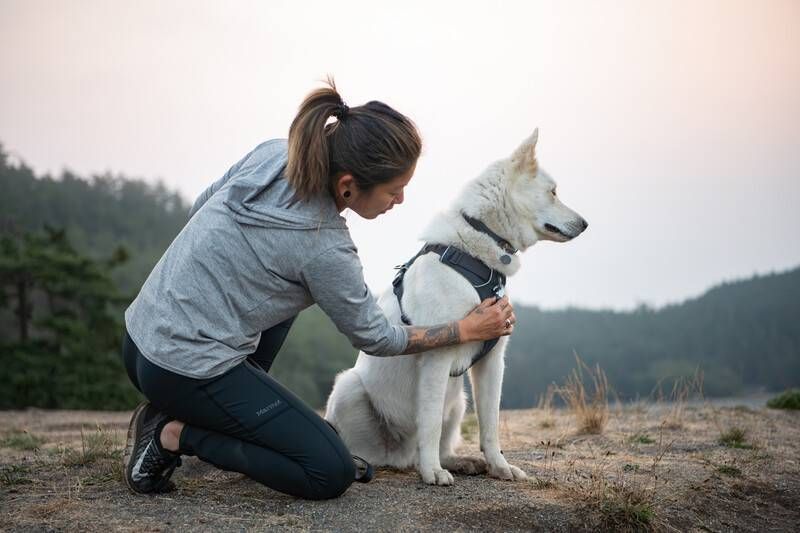 Повседневная шлейка для собак Ruffwear Front Range&reg; S 56-69 см Серый 30773 фото