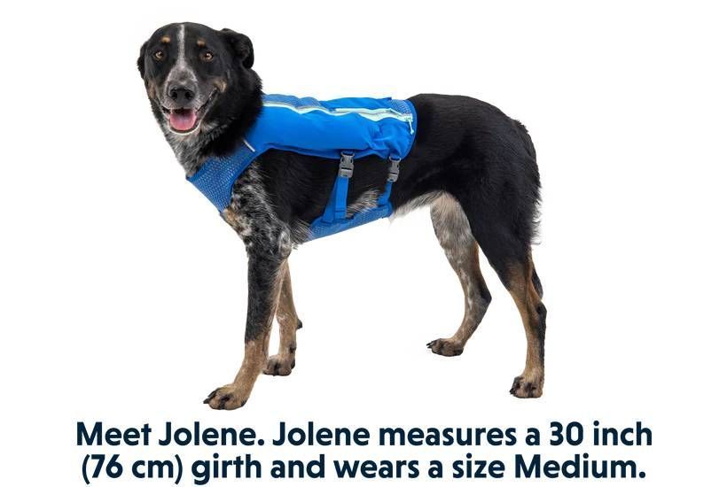 Жилет-шлея для бега Ruffwear Trail Runner&trade; S Синий 30989 фото