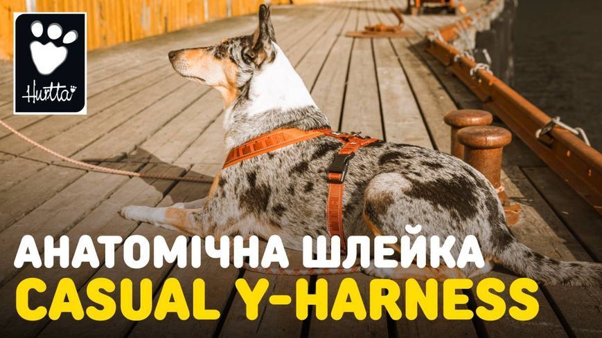 Анатомічна шлейка для собак Hurtta Casual Y-harness 80-90 Бірюзовий 31668 фото