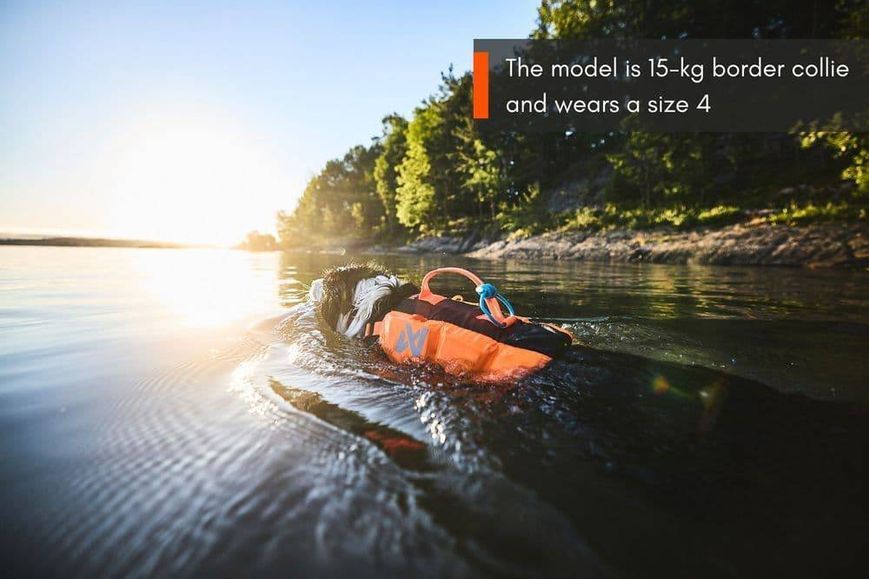 Спасательный жилет для собак Protector life jacket Non-stop dogwear Черный/Оранжевый 7 40512 фото