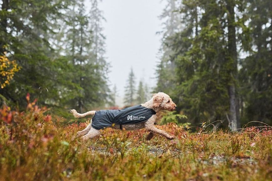Куртка для собак Trail light Non-stop dogwear Серый 55 40889 фото
