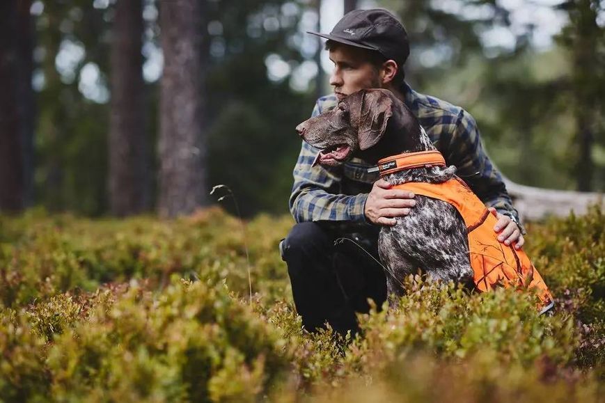 Ошейник для собак Safe Non-stop dogwear Оранжевый 55 40412 фото