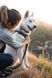 Повсякденна шлейка для собак Ruffwear Front Range&reg; M 69-81 см Сірий 30774 фото 14
