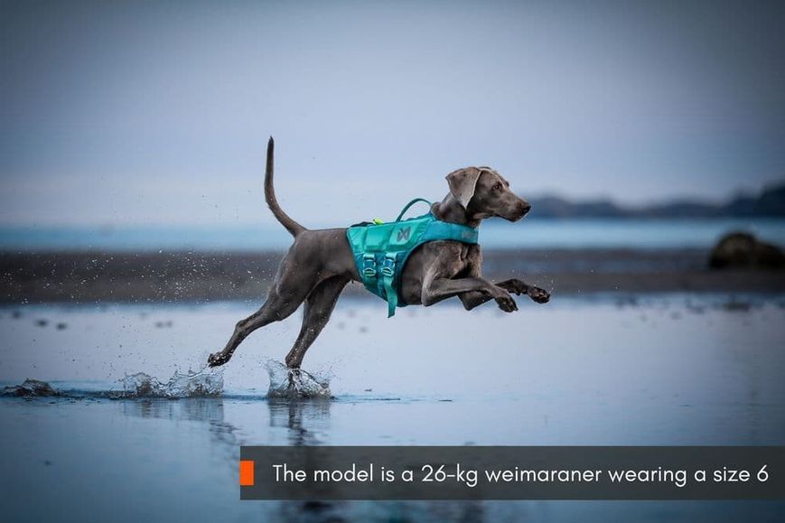 Спасательный жилет для собак Protector life jacket Non-stop dogwear Бирюзовый 7 40513 фото