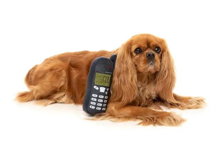 М'яка іграшка для собак FuzzYard Nokidog 31073 фото