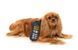 М'яка іграшка для собак FuzzYard Nokidog 31073 фото 3