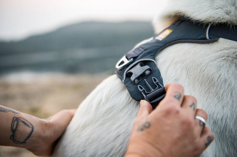 Повсякденна шлейка для собак Ruffwear Front Range&reg; L/XL 81-107 см Сірий 30775 фото
