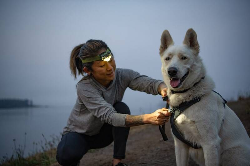 Повсякденна шлейка для собак Ruffwear Front Range&reg; L/XL 81-107 см Сірий 30775 фото