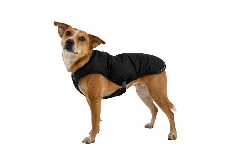 Теплая куртка для собак Ruffwear Quinzee&trade; XXS Черный 41743 фото