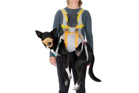 Набор для эвакуации собаки Ruffwear BackTrak&trade; Серый M 41903 фото