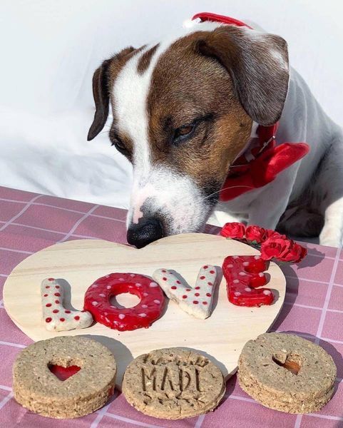 Набор натурального печенья для собак Cooka's Cookies Ко дню Святого Валентина 4 шт. 65 г 40235 фото