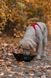 Складна миска для собак Trekking bowl Non-stop dogwear Чорний M 40515 фото 7