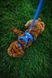 Повсякденна шлейка для собак Ruffwear Front Range XXS 33-43 см Синій 30776 фото 11