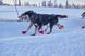 Ошейник для собак Polar Non-stop dogwear Черный S 40415 фото 3