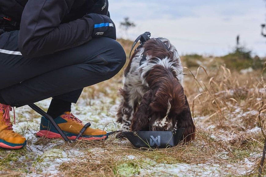 Складна миска для собак Trekking bowl Non-stop dogwear Чорний M 40515 фото