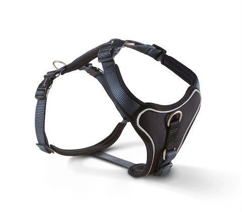 Шлейка для собак смягченная Wolters Professional Comfort 6 80-95 см / 35 мм Графитовый 29764 фото