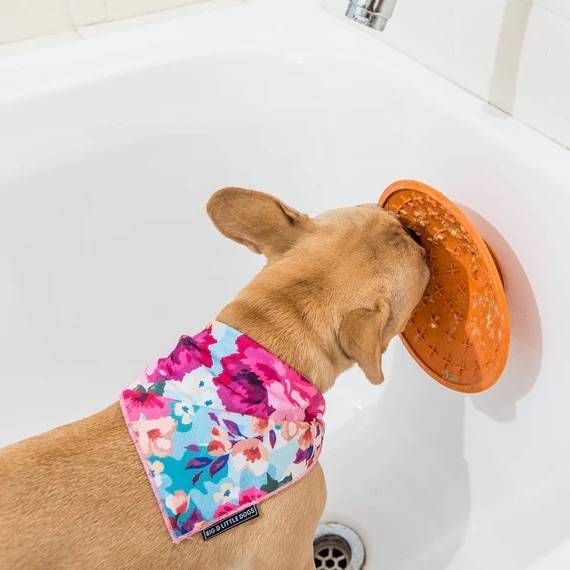 Лизальний килимок антистрес для собак LickiMat Splash Orange, для купання та догляду, на присосках 27770 фото