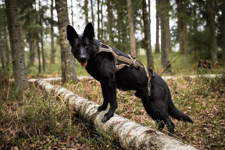 Шлейка для собак Freemotion harness defense Non-stop dogwear Зелений 9 41440 фото