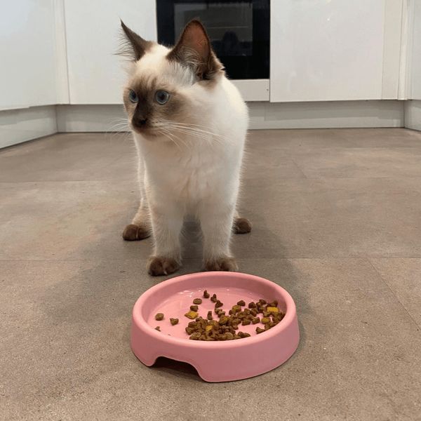 Миска из 100% переработанного пластика для котов Beco Pets Steady Bowls Розовый S 45562 фото