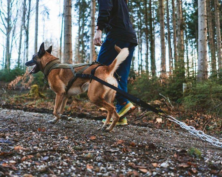 Крепление для тягания Pulling attachment WD Non-stop dogwear Черный 40517 фото