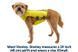 Жилет-шлея для бігу Ruffwear Trail Runner&trade; M Зелений 30994 фото 6