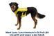 Жилет-шлея для бігу Ruffwear Trail Runner&trade; M Зелений 30994 фото 7