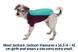 Зимова куртка для собак Ruffwear Powder Hound&trade; XS Бірюзовий 30444 фото 3