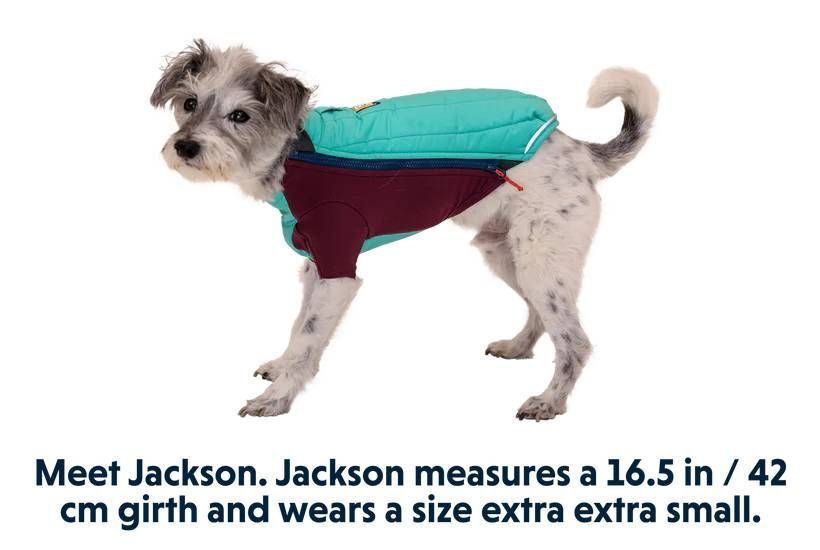Зимова куртка для собак Ruffwear Powder Hound&trade; XS Бірюзовий 30444 фото