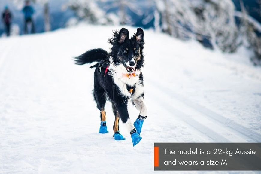 Черевики для собак Long distance bootie Non-stop dogwear Синій S 100 Шт. 40317 фото