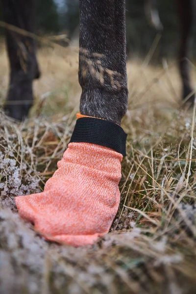 Шкарпетки для собак Protector light socks Non-stop dogwear Помаранчевий XS 4 Шт. 40332 фото