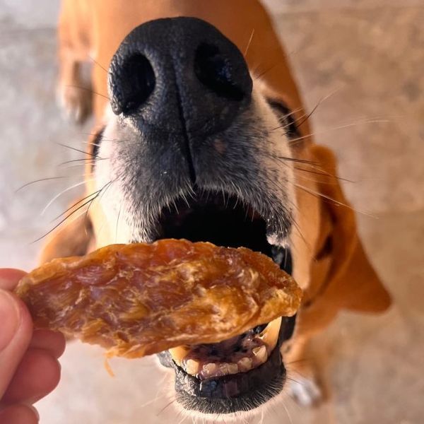 Натуральные лакомства для собак Cooka's Cookies Turkey Crispies 100% Сушеная индейка 95 г 45366 фото