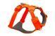 Повседневная шлейка для собак Ruffwear Front Range M 69-81 см Оранжевый 41870 фото 1