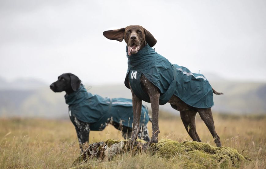 Дощовик для собак Non-stop dogwear Fjord lined Зелений 65 41331 фото
